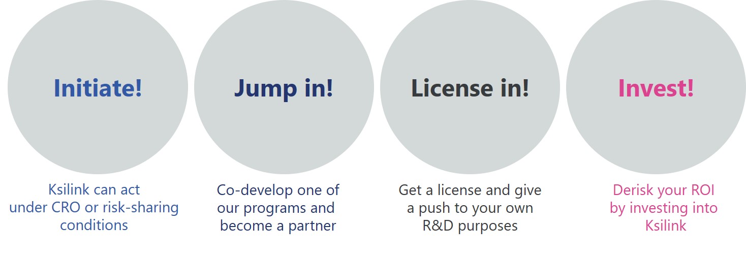 Image1 Partnering ksilink