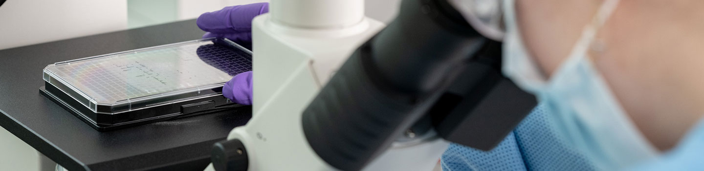 investors-drug-discovery-ksilink Invest in drug discovery with ksilink