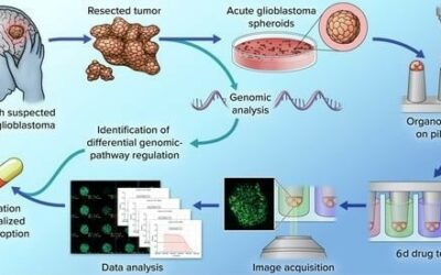 New publication: A step forward towards precision oncology