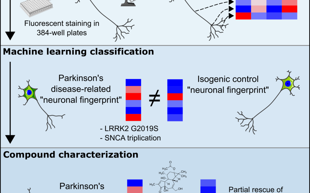 New publication: Machine learning-aided analysis of human dopaminergic neurons
