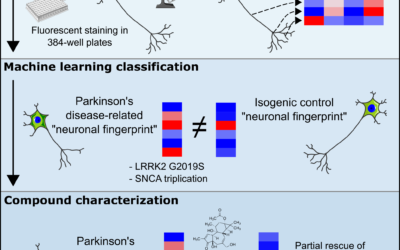 New publication: Machine learning-aided analysis of human dopaminergic neurons