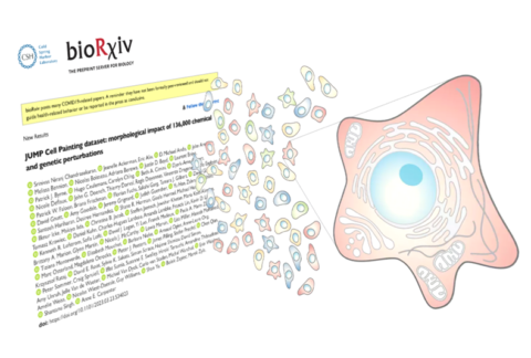 New publication: The JUMP Cell Painting dataset, studying the ...