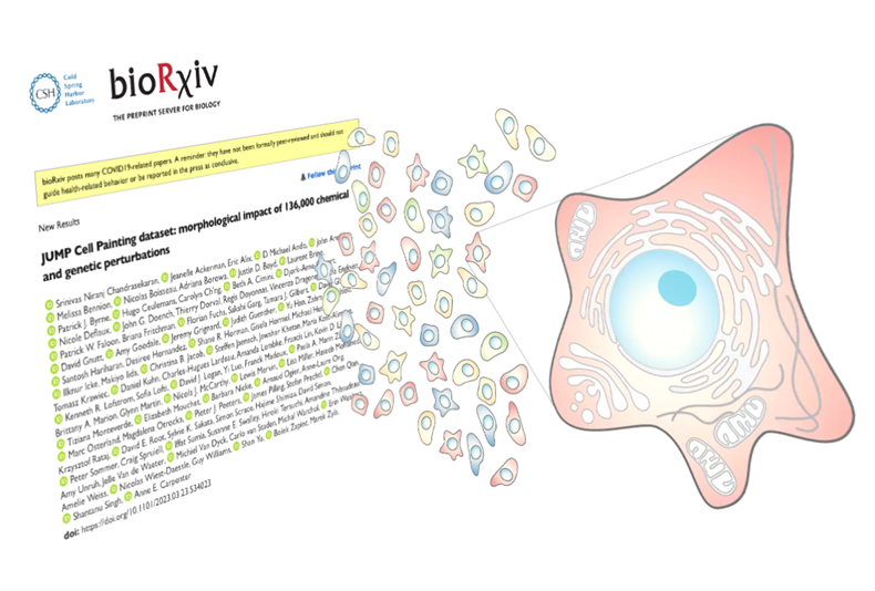 New publication: The JUMP Cell Painting dataset, studying the morphological impact of 136,000 chemical and genetic perturbations goes public