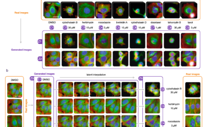 New publication in “Nature Communications”