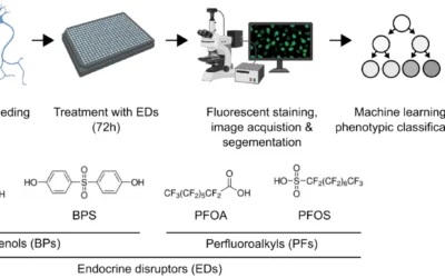 New Study on the Impact of Endocrine Disrupting Chemicals on Parkinson’s Disease