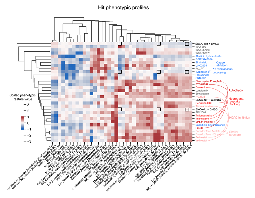 PD Heatmap